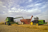 A combine unloads spring wheat into a grain wagon on the go