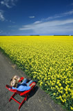 Man relaxing in chair next to canola field