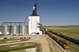 Loading rail cars at an inland grain terminal