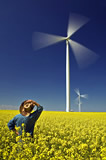 Man in canola field looks out over wind turbines