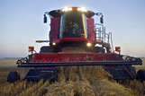 Combine harvests swathed oats